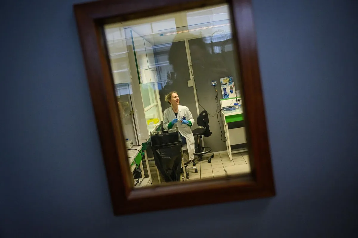 Cadmium : des dépistages seront bientôt remboursés en laboratoire de ville