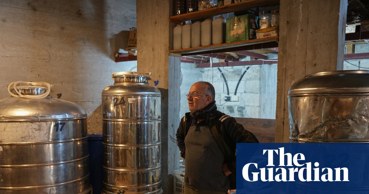 From tourism to wine, Syrian businesses flounder in post-Assad cultural flux