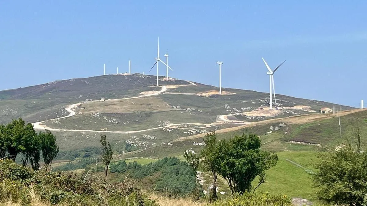 
                                                                                                       El extraño caso del parque eólico parado en seco por el Gobierno cuando está casi concluido
                                                                                                   