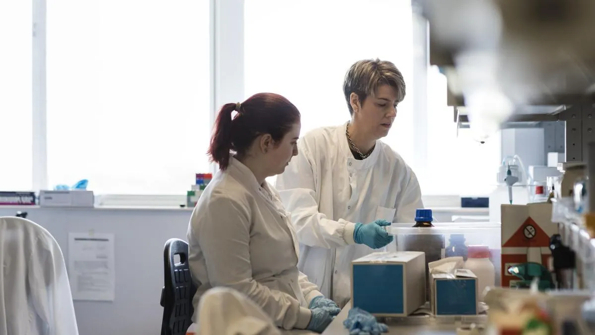 
                                                                                                                                       La demencia se podría detectar años antes gracias a unos metabolitos de la microbiota
                                                                                                                                   