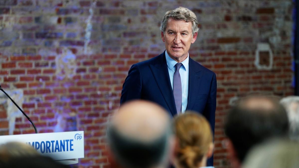 
                      Feijóo promete bajar el IRPF y el IVA a la clase media: “Son ellos los que más pagan, no los ricos”
                  