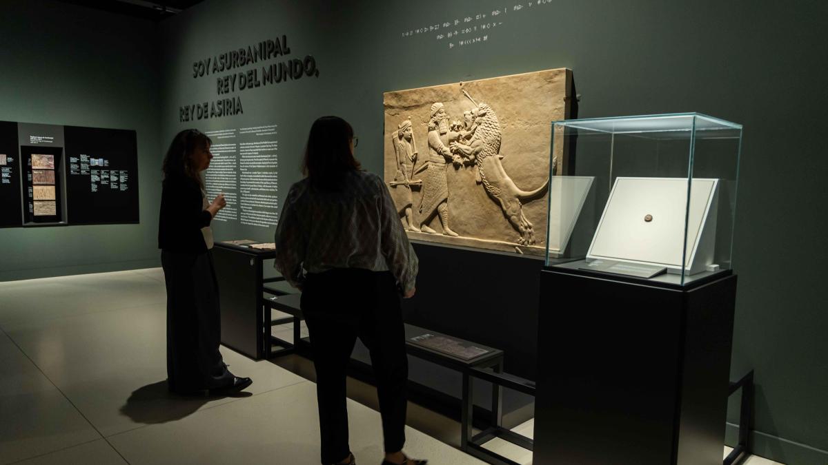 
                                                                                                                        Asurbanipal extiende su reino hasta Madrid
                                                                                                                    