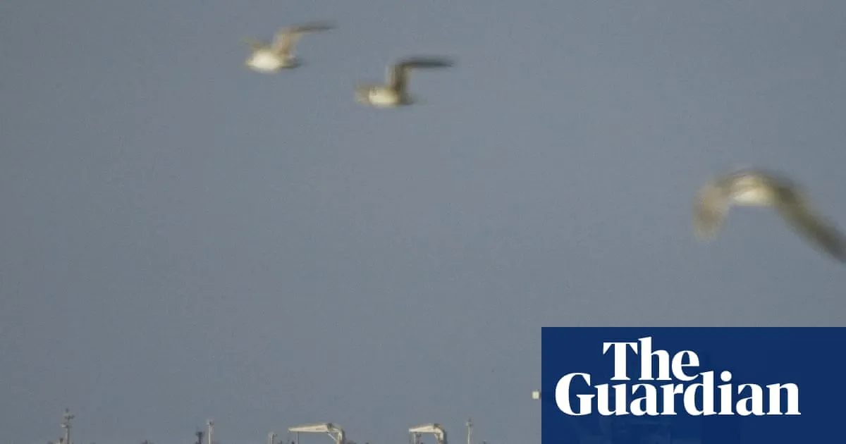 Relief in financial markets after Iran ceasefire – but it is far from absolute | Richard Partington