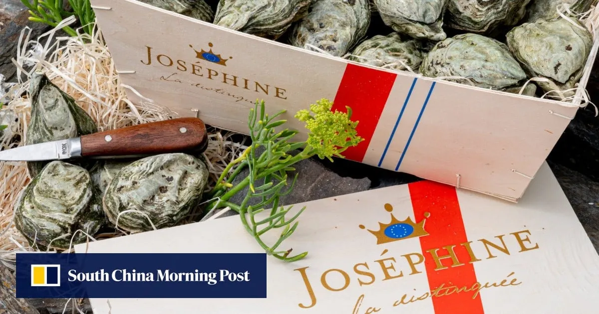 Hong Kong halts raw oyster sales from French brand over possible gastroenteritis link