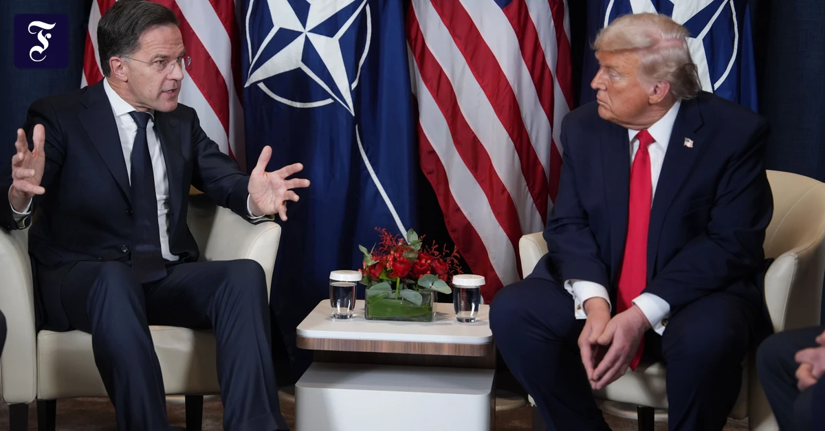 Rutte zu Besuch bei Trump: Bloß nichts Falsches sagen