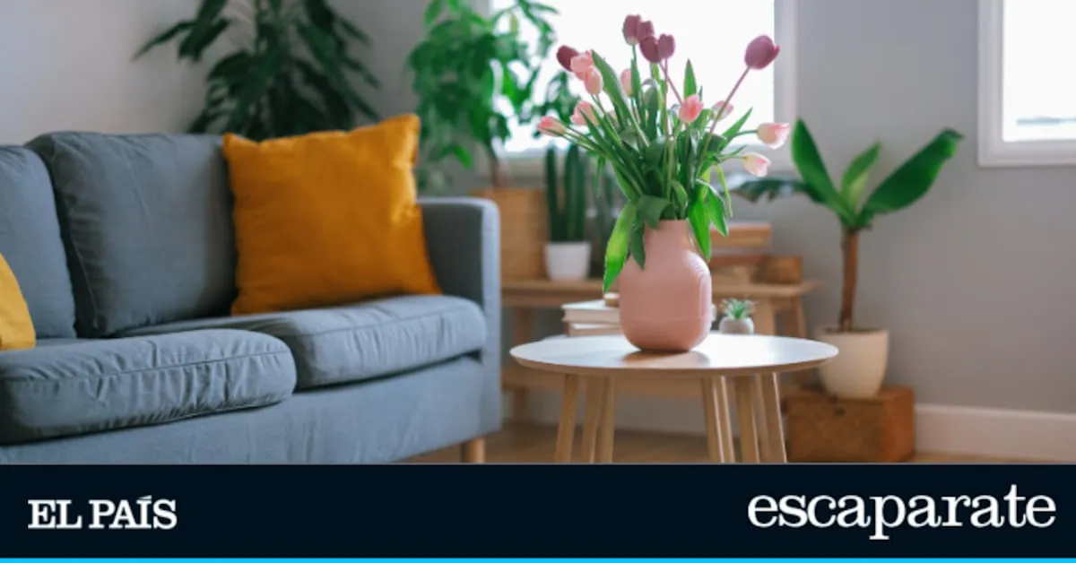 Siete compras clave para transformar tu salón este abril 