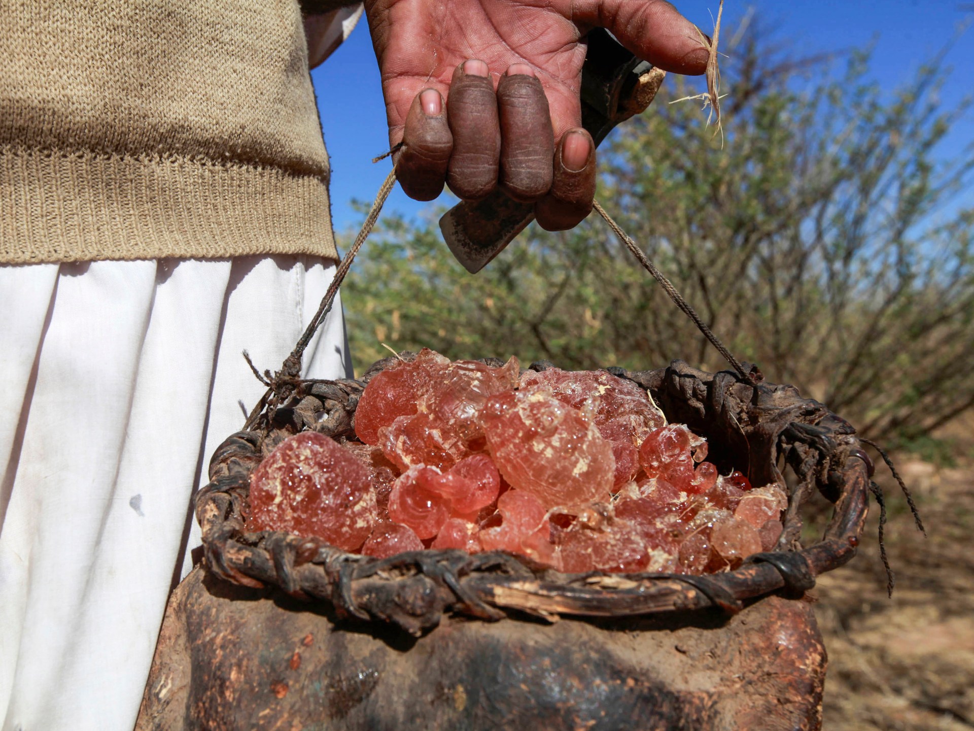 How is gum arabic fuelling the war in Sudan?