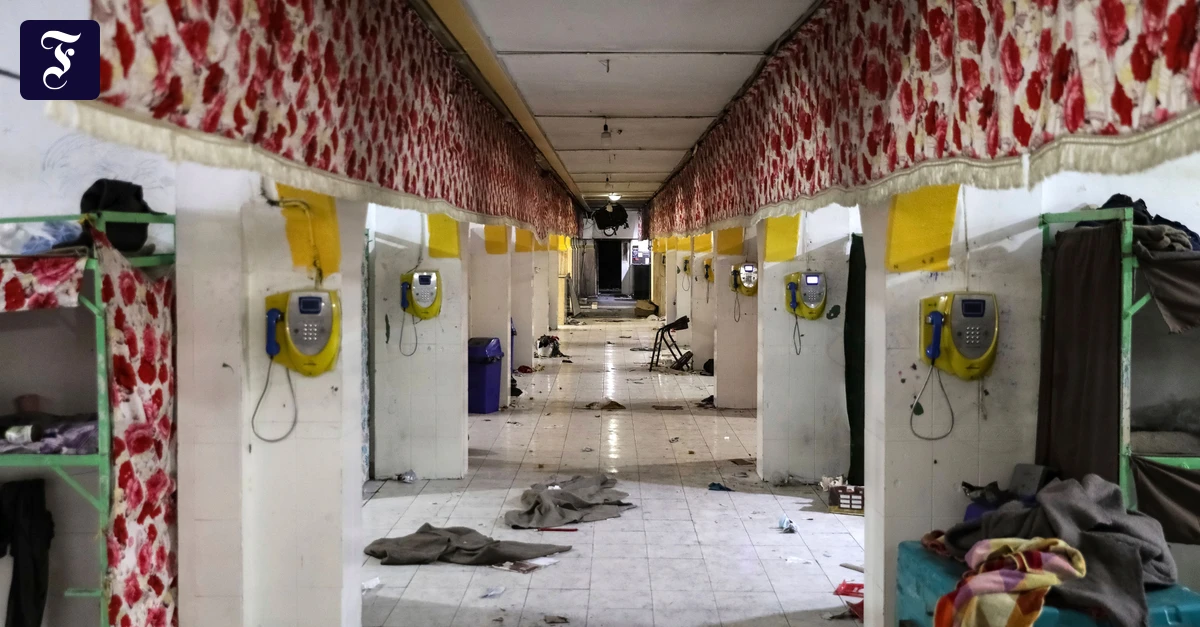 Geiseln in Iran: Befreit aus der Hölle Teherans