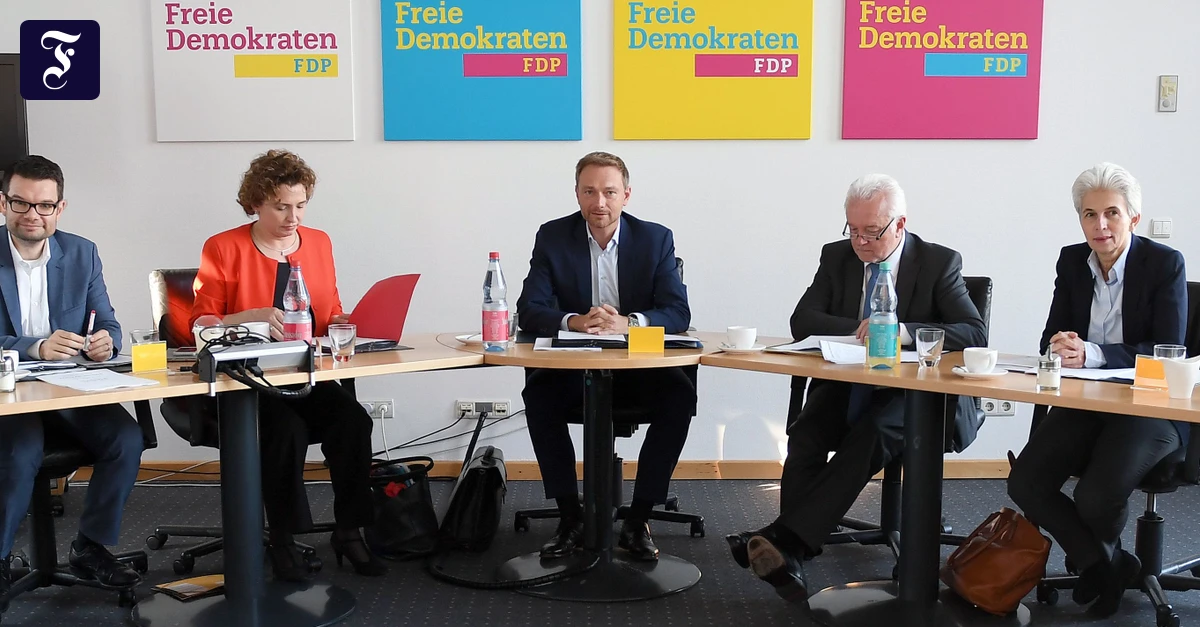 Wie ein Comeback gelingt: Die FDP muss raus aus der Veto-Mentalität
