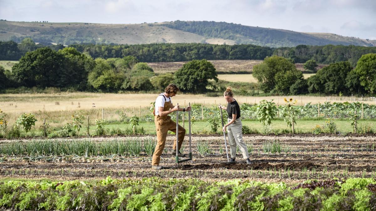 
                                                                                                                                         La agricultura regenerativa crea un sello para frenar el ‘greenwashing'
                                                                                                                                     