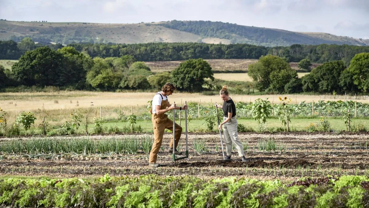 
                                                                                                                                         La agricultura regenerativa crea un sello para frenar el ‘greenwashing'
                                                                                                                                     