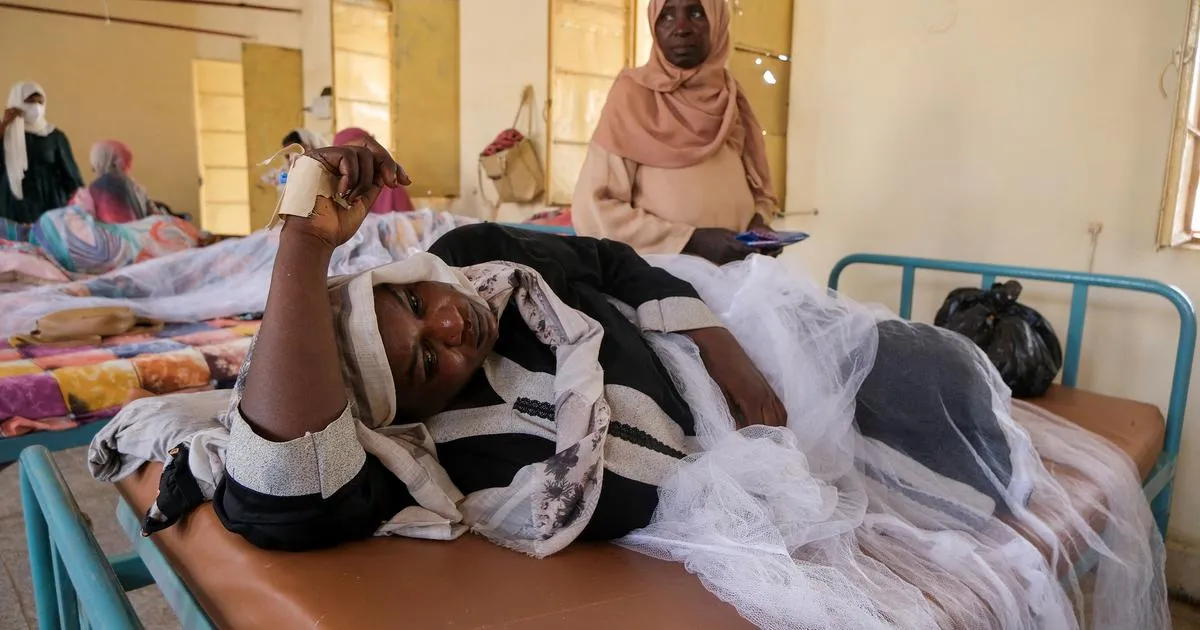 Soudan : au Darfour, une frappe de drone fait 12 morts, dont six enfants, selon une source médicale