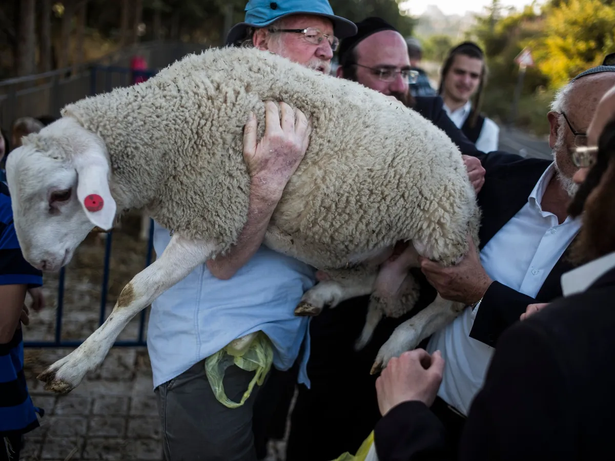 Record animal sacrifice attempts at Al-Aqsa prompt status quo fears
