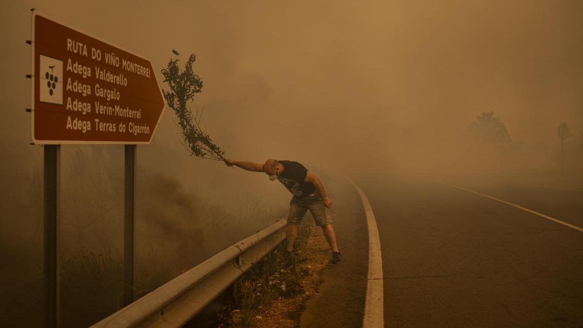 
                                   Los españoles Brais Lorenzo, Luis Tato y Diego Ibarra ganan tres premios World Press Photo 2026
                               