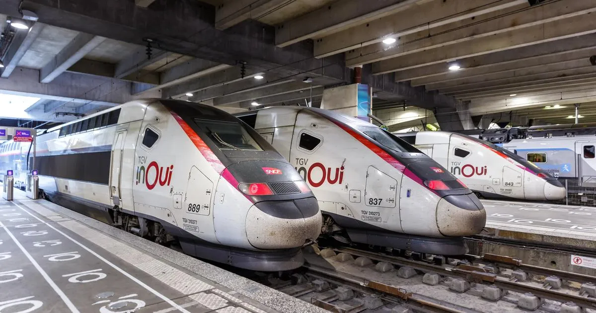 SNCF : une «panne d’aiguillage» perturbe fortement la circulation des trains sur l’axe Sud-Est, de nombreux retards à prévoir
