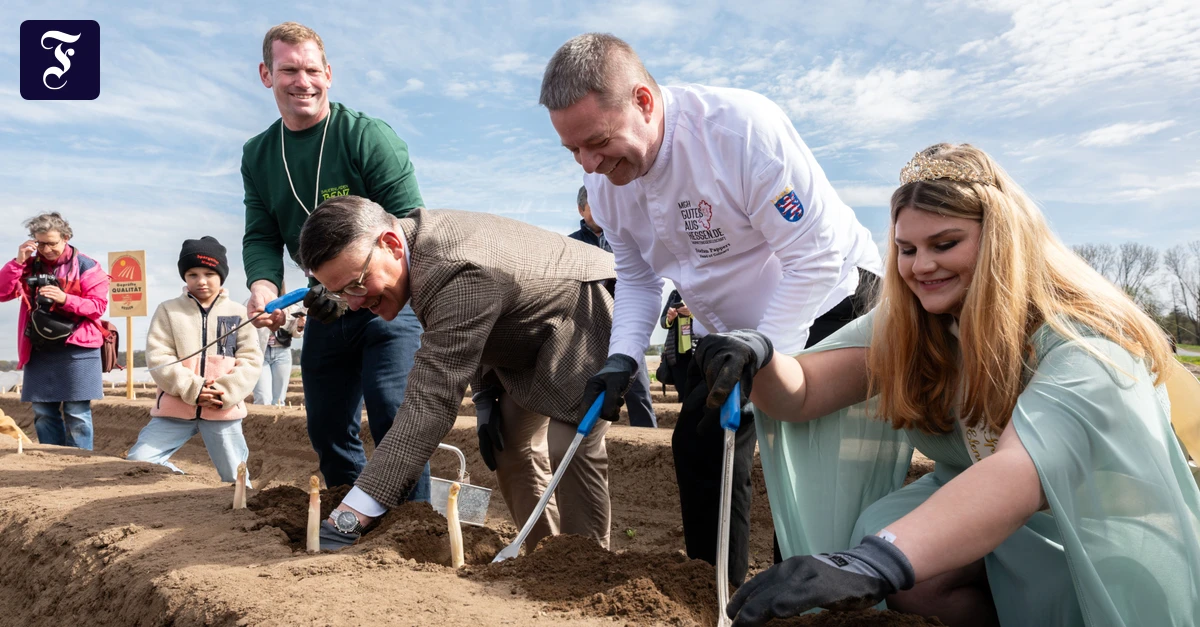 Eröffnung der Saison: Viel Lob für Spargel aus regionalem Anbau