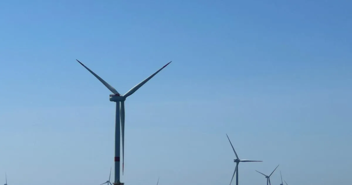 Ce rapport choc qui appelle à mieux encadrer les énergies renouvelables