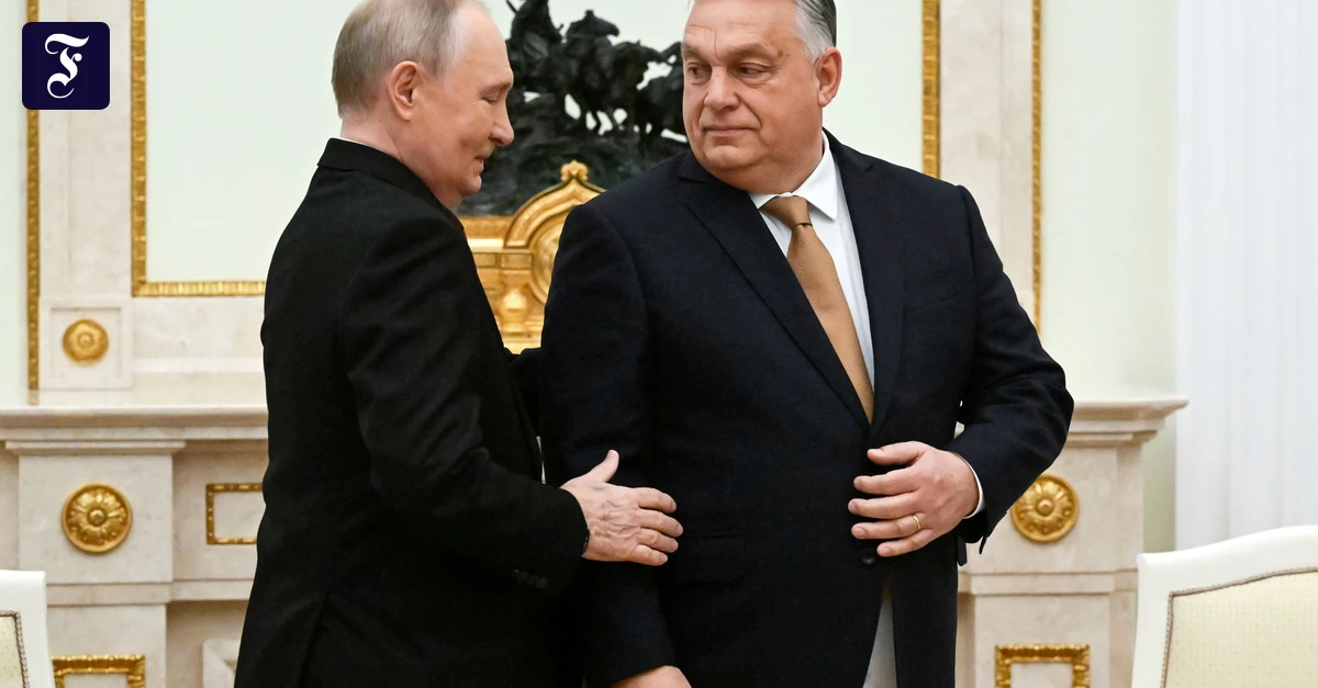 Dienste für Putin: Orbán ist ein Ärgernis, aber über ihn entscheiden Ungarns Wähler