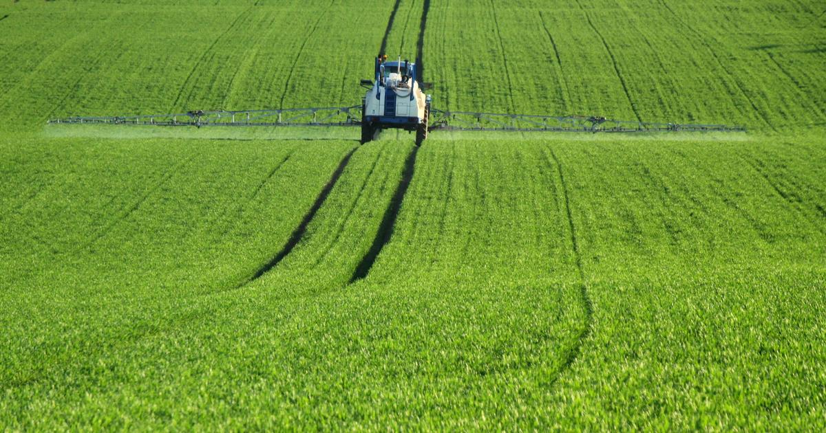 Pesticides, pollution, cadmium… Le cancer est-il vraiment lié à notre alimentation ?