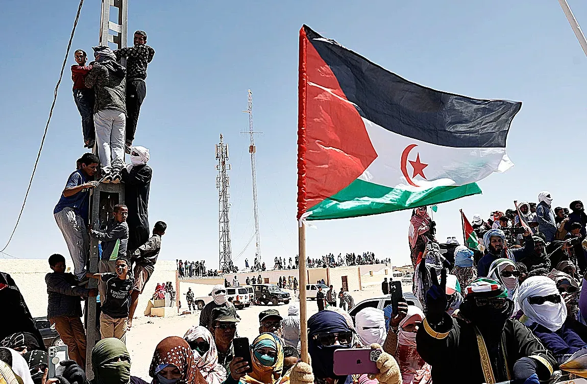 "No esperamos nada de los socialistas españoles": el pueblo saharaui clama contra Sánchez tras 50 años de abandono en el desierto