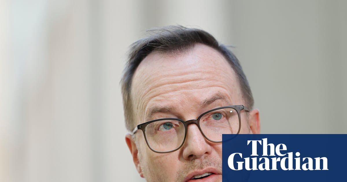 Greens say Australia should step up pressure on Israel over ‘disastrous, illegal, immoral war’ on Lebanon