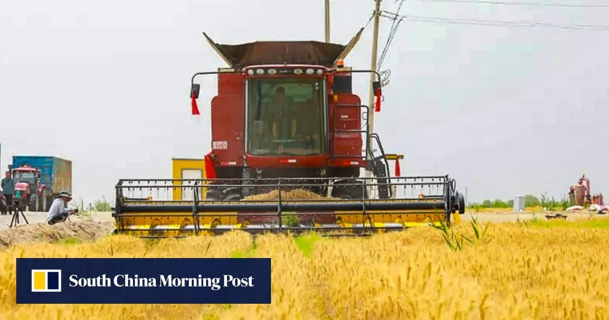 2 years on: China proves its ‘desert wheat farms’ are not a hoax