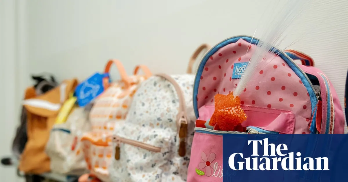 Trump administration halts more than $10bn for childcare and family assistance