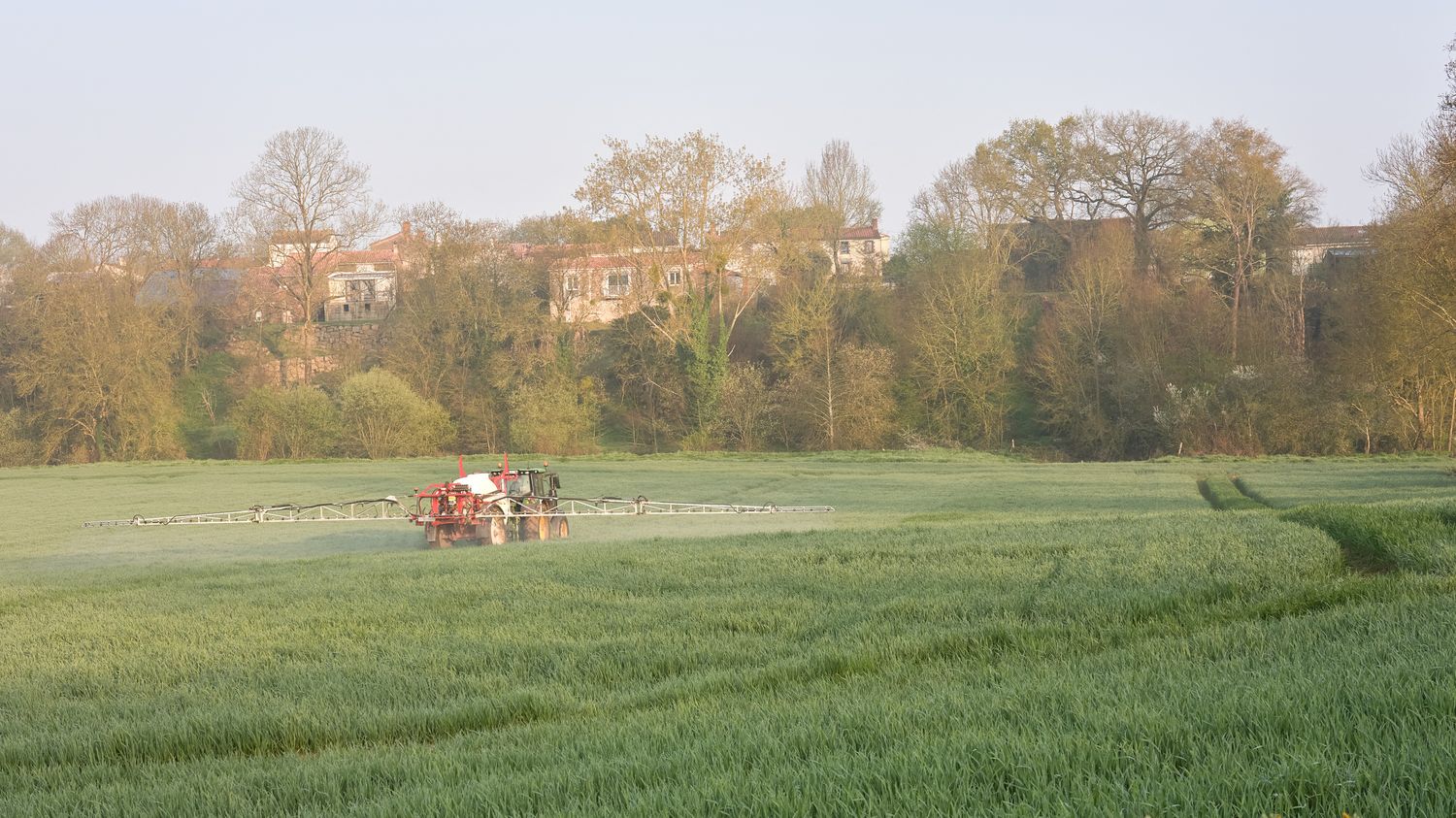 Contamination au cadmium : que proposent les scientifiques, le gouvernement et les syndicats agricoles pour réduire l'exposition des Français ?