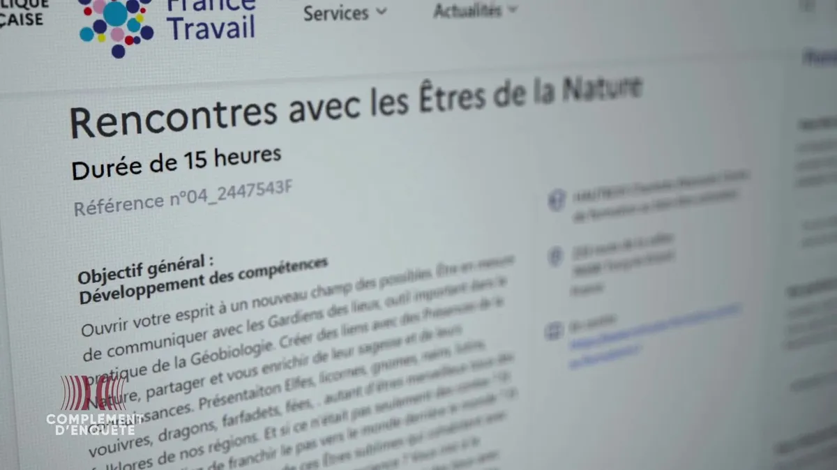 "Je ne m'attendais pas à trouver ça sur Pôle Emploi !" Rencontrer des elfes, faire venir des dragons... des formations ésotériques financées par de l'argent public