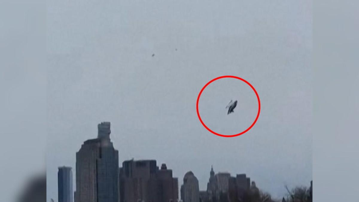 
                  Sin respuestas un año después de la tragedia de una familia catalana en el río Hudson
              