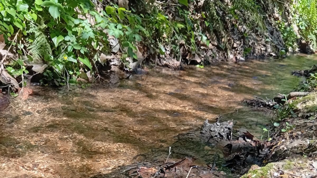 Cuando el río suena