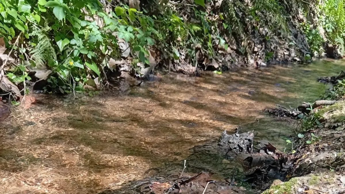
                                                                                                    Cuando el río suena
                                                                                                