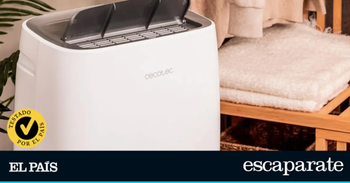 Pruebo los mejores deshumidificadores: elijo entre Cecotec, Create, Dreo o Taurus