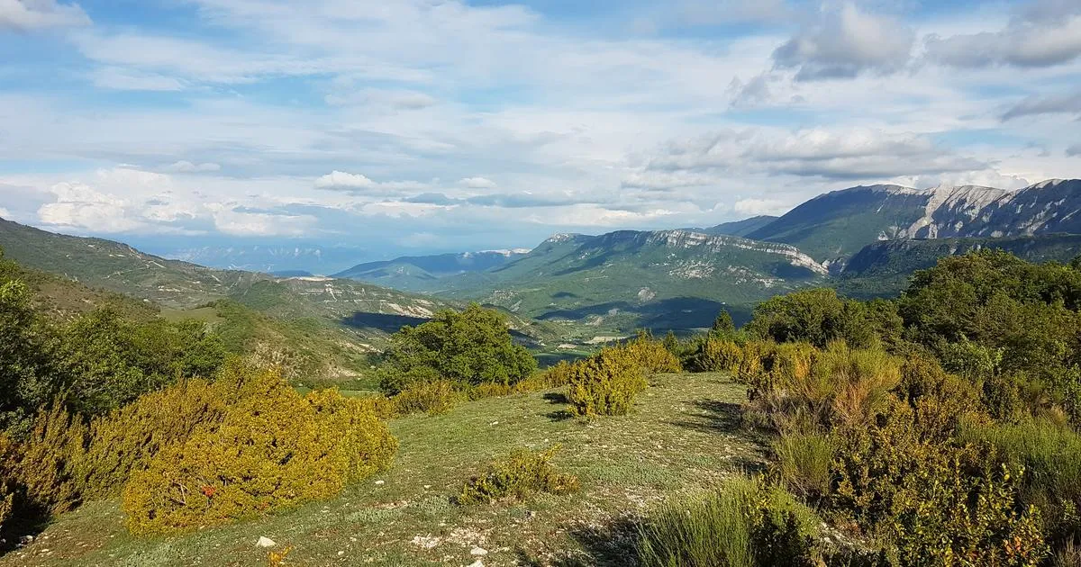 Un avion de l’armée de l’air s’écrase en plein vol d’instruction dans les Alpes-de-Haute-Provence, les pilotes blessés