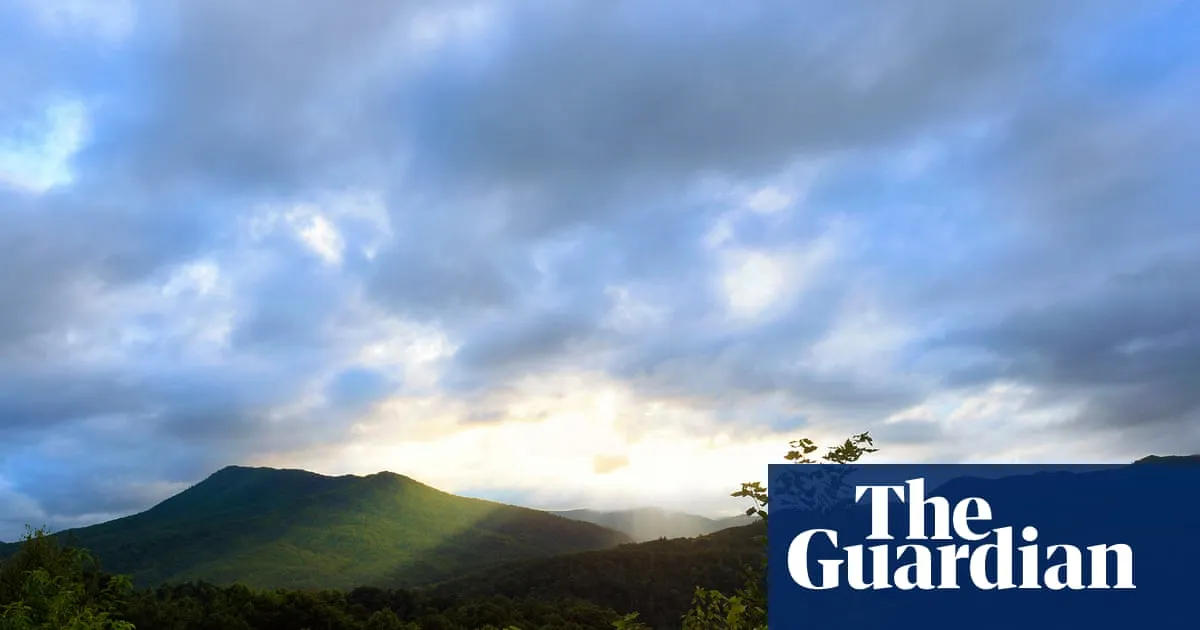 ‘Illegal’ forest service overhaul risks causing ‘chaos’ across US public lands, union claims