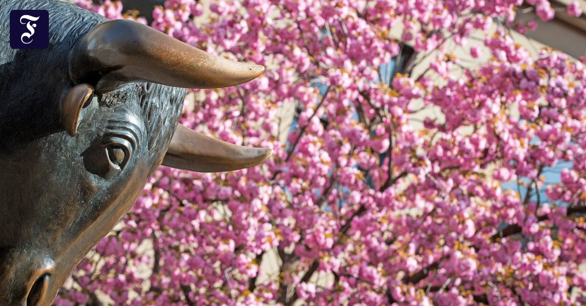 Waffenruhe in Hormus: Börsenrally trotz Krisenangst: Anleger hoffen auf Stabilität