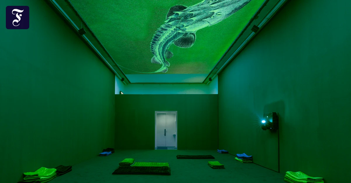 Kunsthalle Portikus: Wo die Möwe die Nilgans ruft