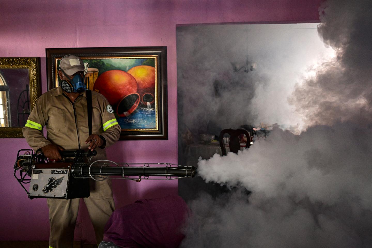 Face à la dengue, la recherche s’active alors que le réchauffement laisse craindre une saison 2026 record