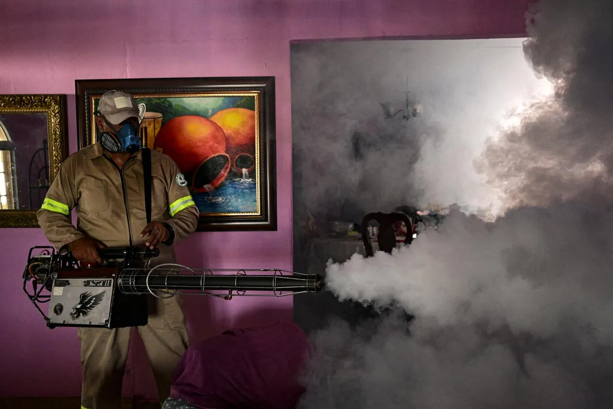 Face à la dengue, la recherche s’active alors que le réchauffement laisse craindre une saison 2026 record