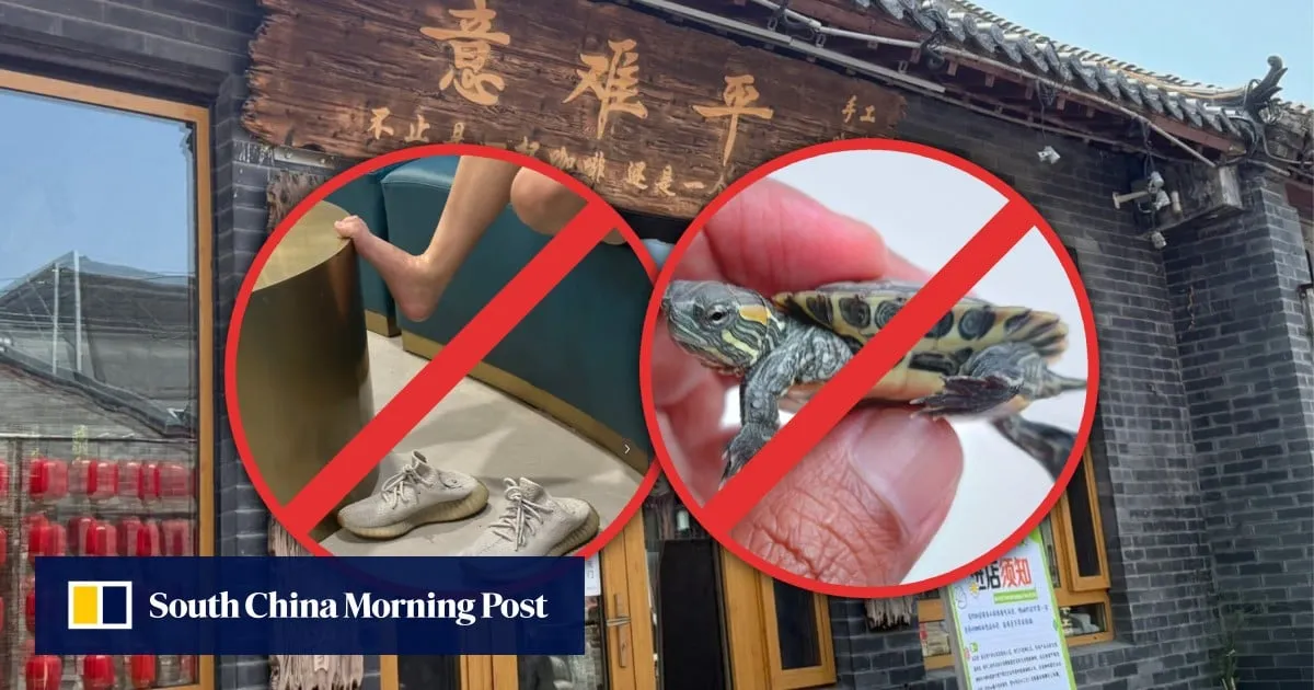 China café sets ‘entry rules’ that ban littering, discarding black stockings, stealing tiny turtles