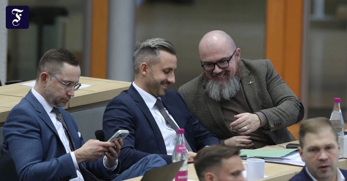 Sachsen-Anhalt: Wenn die AfD allein regiert