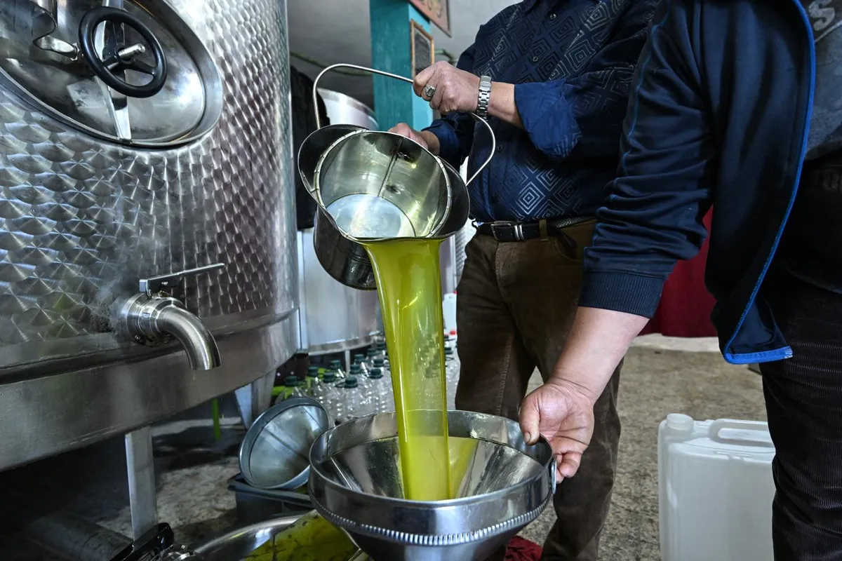 « L’étrange anomalie du prix de l’huile d’olive »