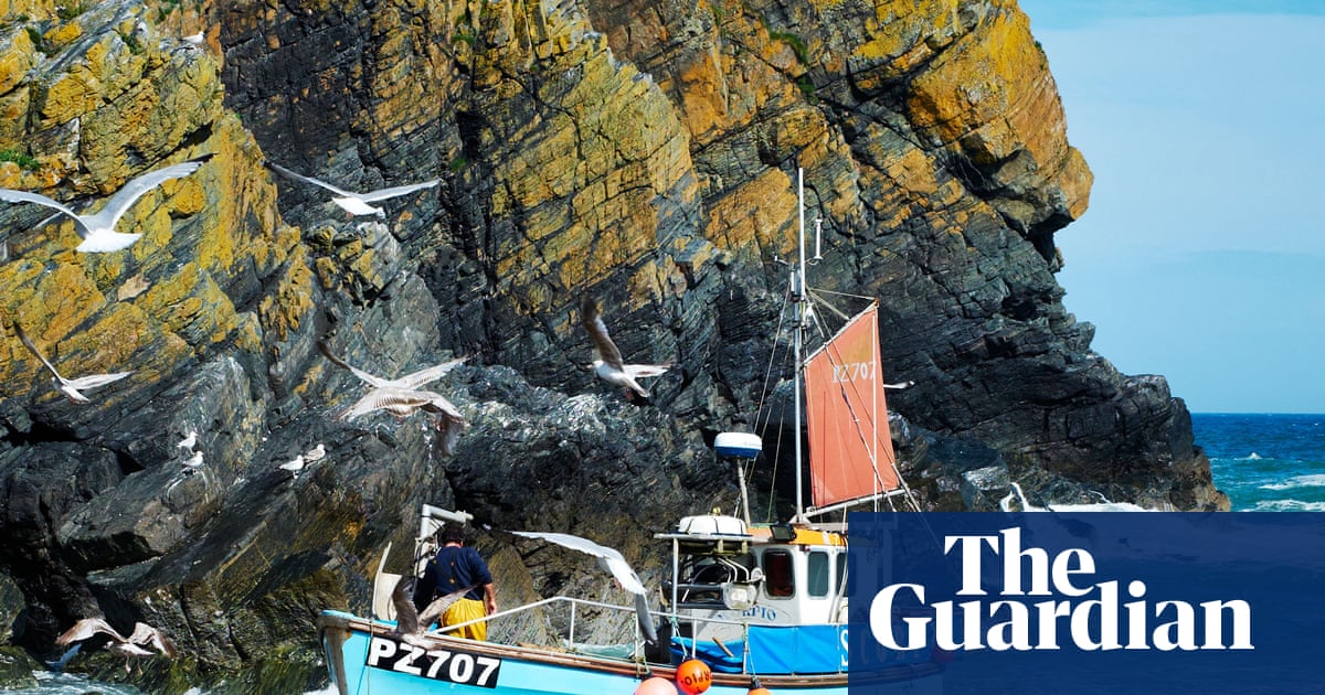 Supermarkets could help UK shoppers eat more sustainable local fish – study