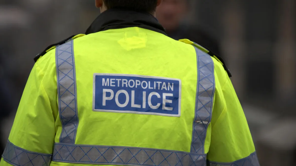 Royaume-Uni: les «link-up», ces rassemblements organisés sur les réseaux sociaux qui tournent au chaos