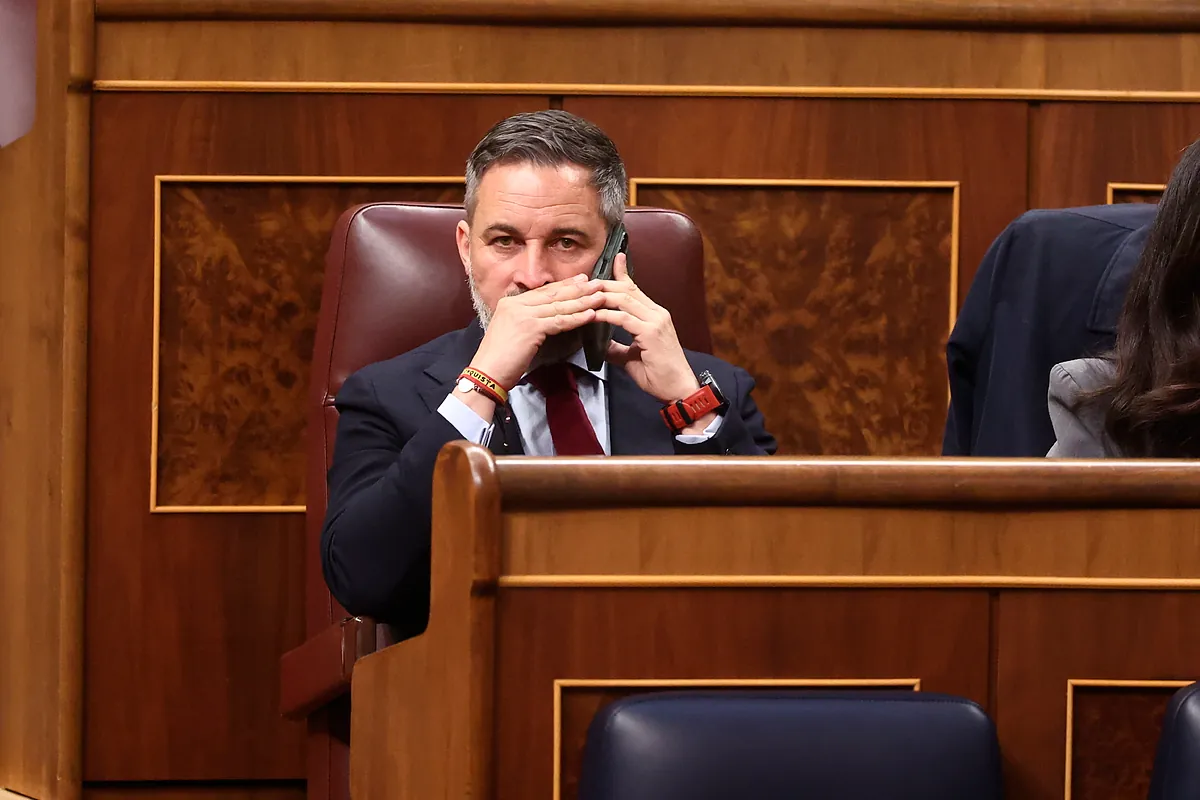 Así lanza Vox a sus cargos en las redes sociales contra las "traiciones" de los críticos: "Esto nos concierne a todos"