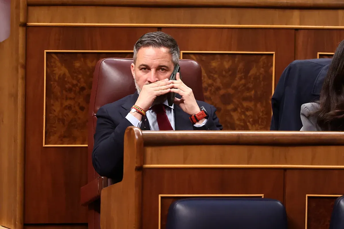 Así lanza Vox a sus cargos en las redes sociales contra las "traiciones" de los críticos: "Esto nos concierne a todos"