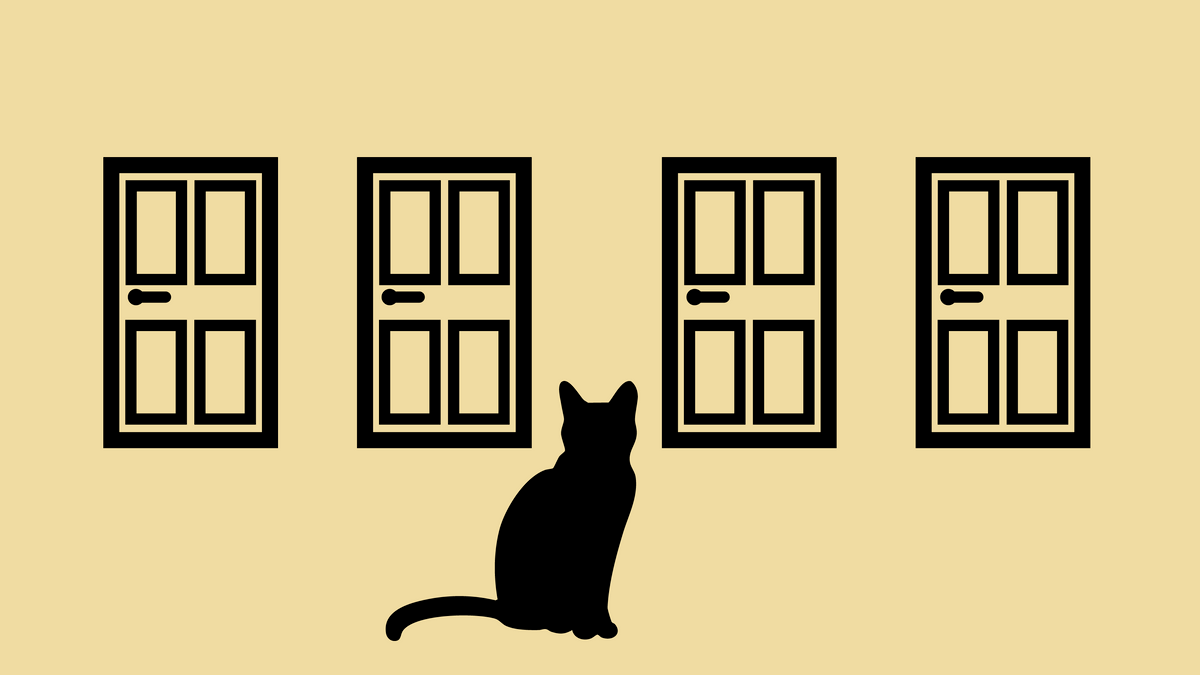 Rätsel der Woche: Eine Katze und vier Türen