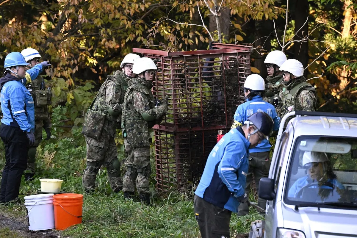 En un escuadrón de montaña en Japón frente a los ataques de osos: el país asiático aprueba cazar en un año 10.000 de estos animales
