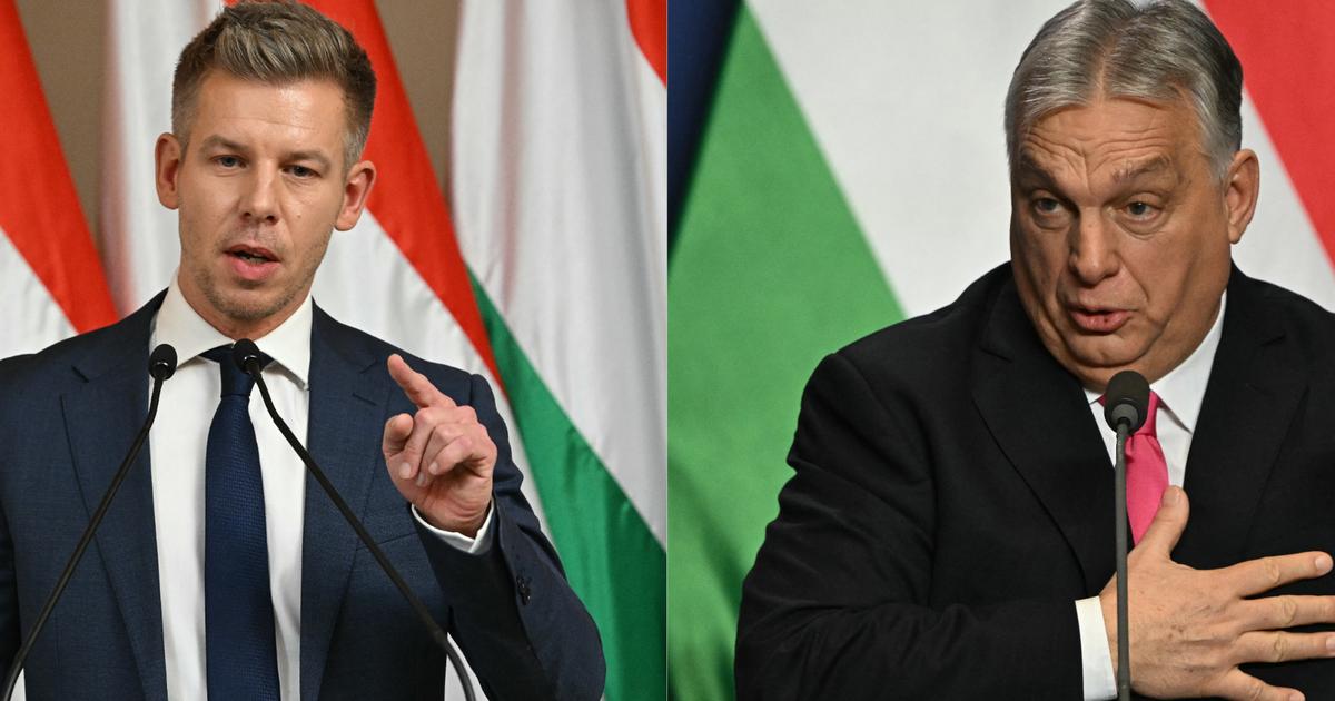 Instituts pro-Orban, indépendants ou proches de l’opposition... Avant les législatives en Hongrie, que disent les sondages ?