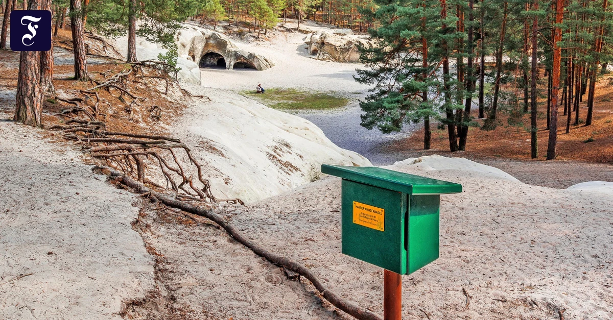 Motivation Wander-Apps: Stempeln auf der nächsten Stufe